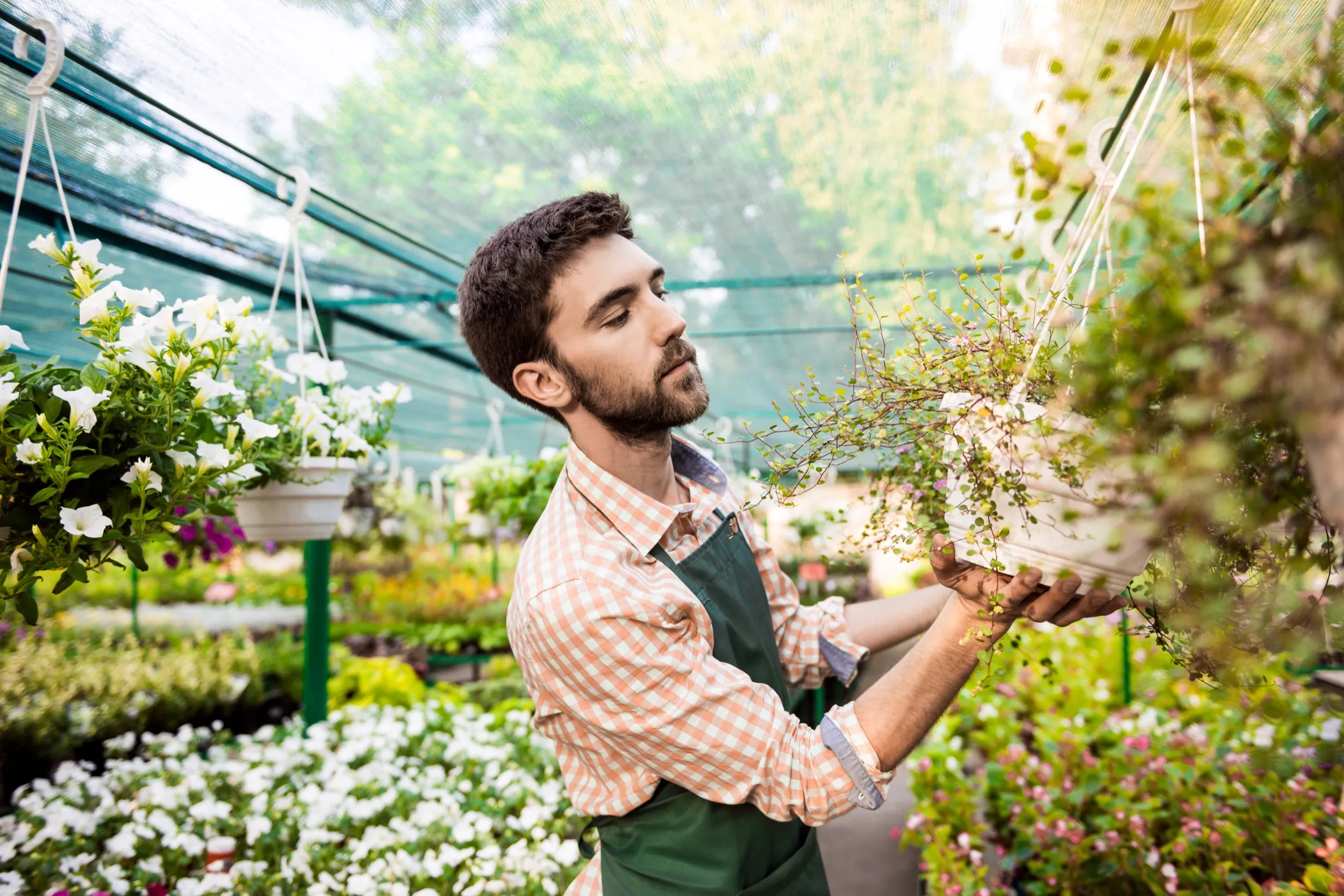 What causes allergy treatment in texas