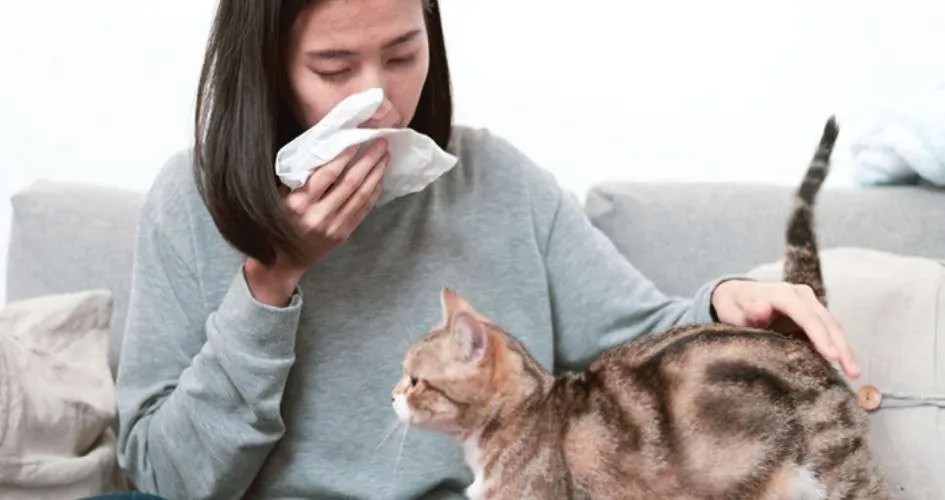Managing Allergies: How to Live with a Cat and Breathe Easy
