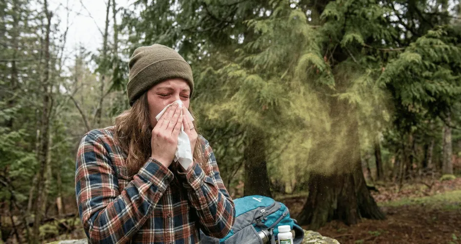 Mountain Cedar Allergy Treatment in Dallas: Shots vs. Drops