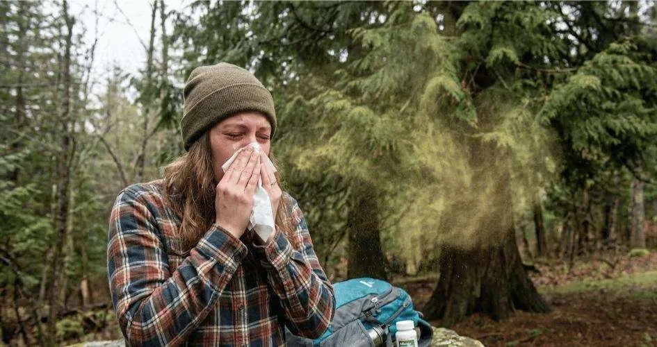 The 2026 Guide to Mountain Cedar Allergy Treatment in North Texas