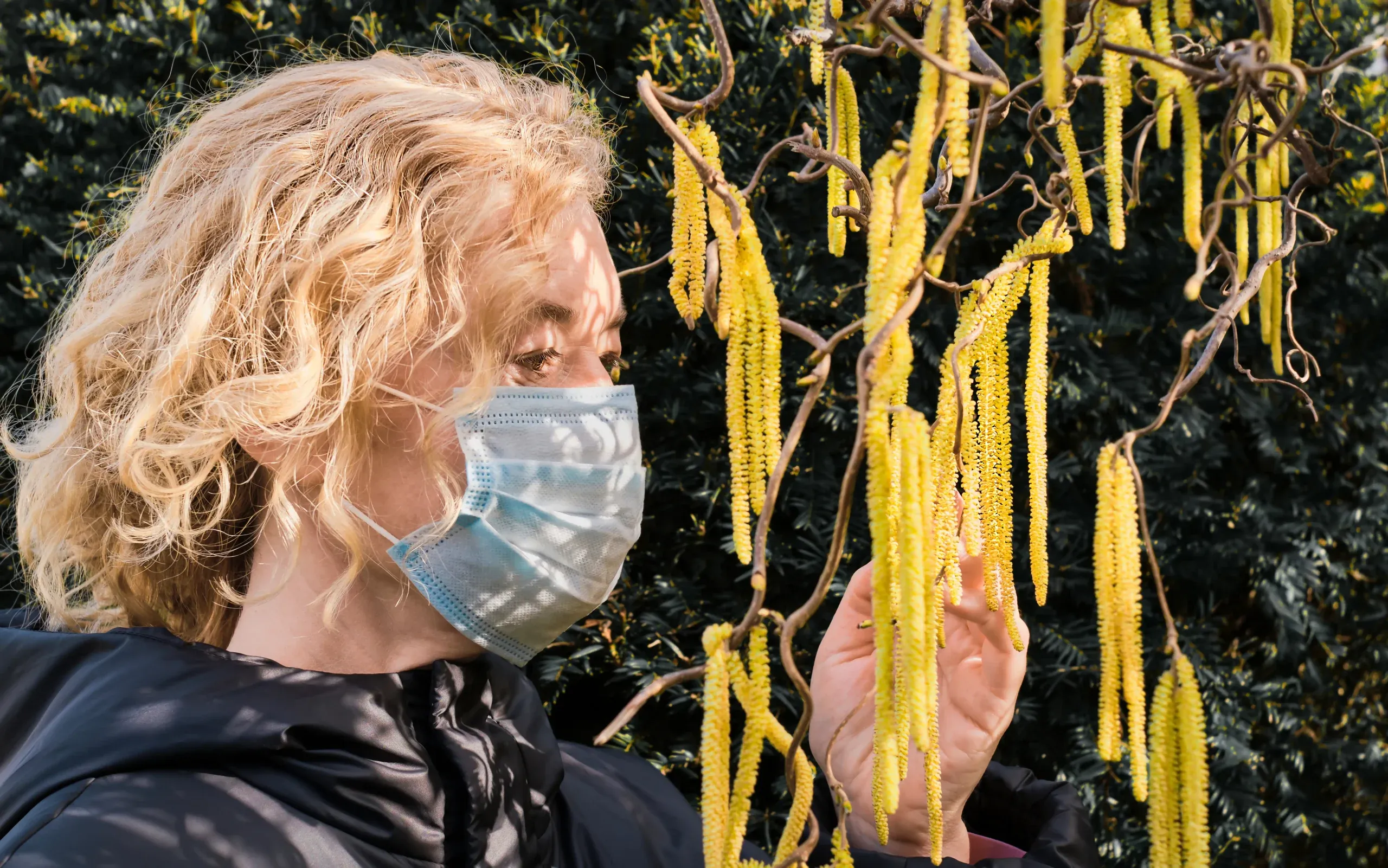 Ragweed Allergy in Dallas and How to Lower Your Exposure