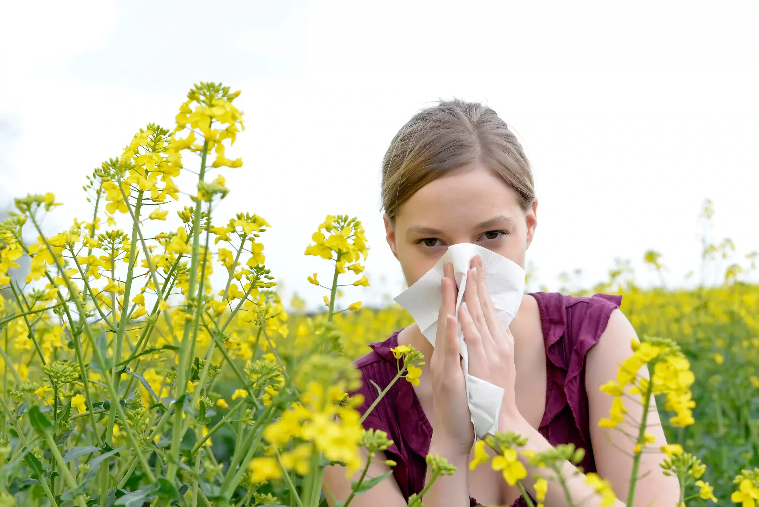 How Pollen Allergy Drops Can Bring Relief This Allergy Season